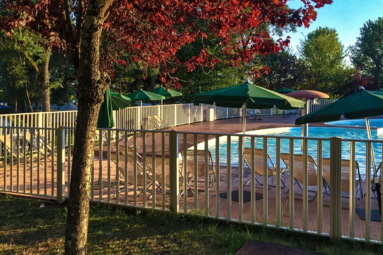 Pool & Garden Iron Fences Image