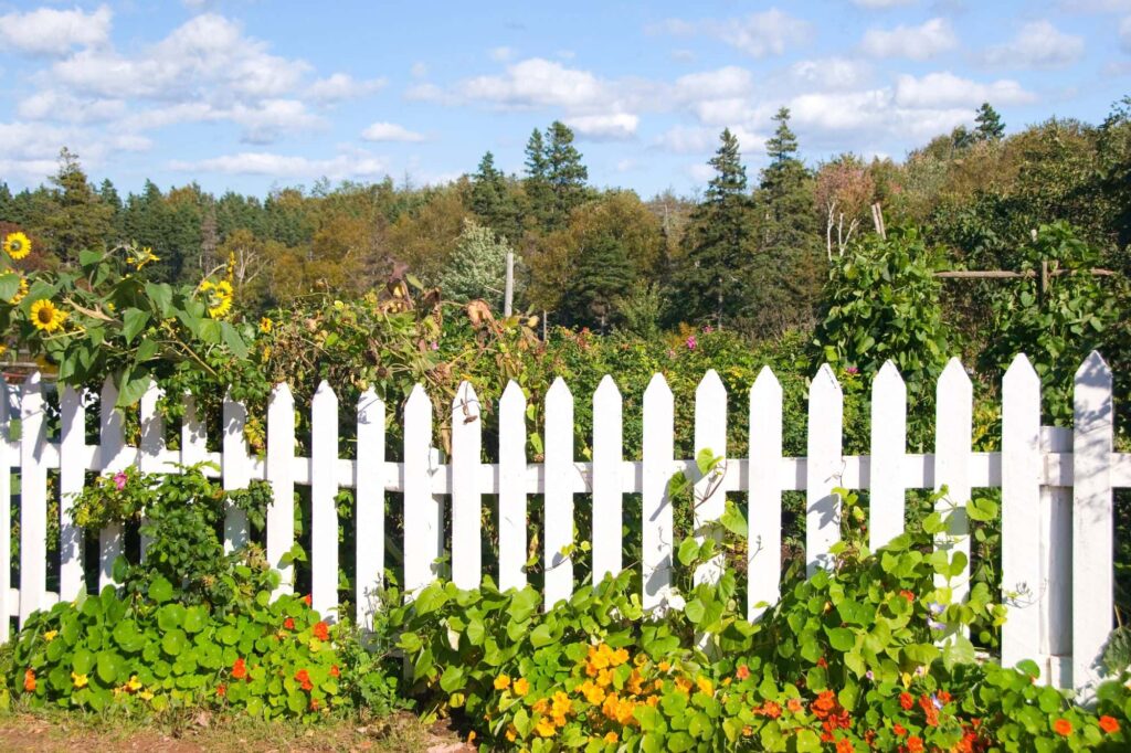 Wood Fencing Image